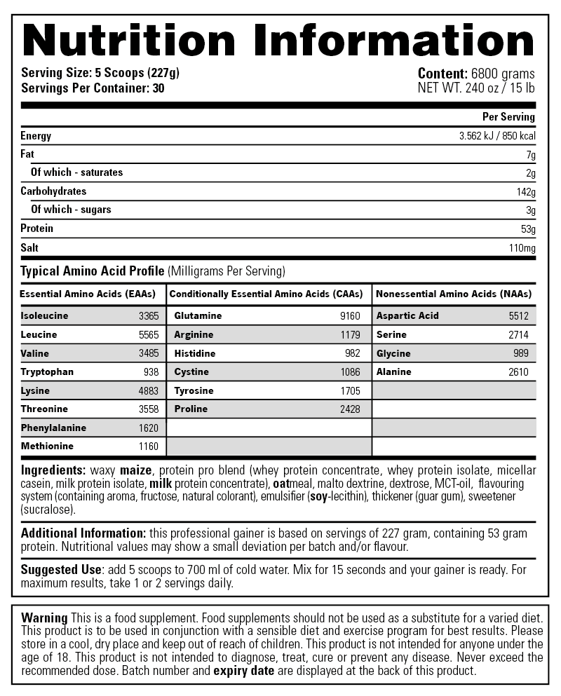 Giant Mass Gainer - Image 2